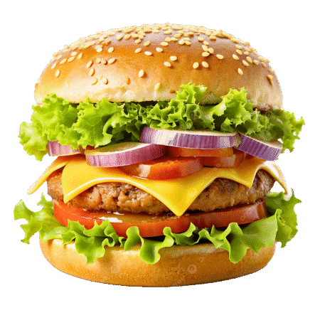 Double Cheese Burger